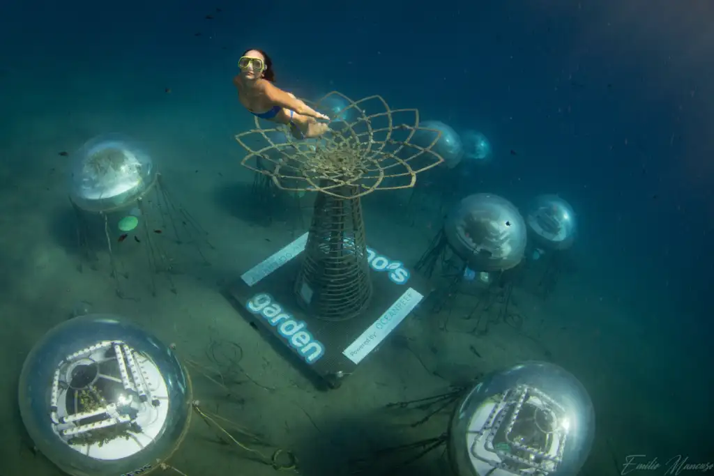 Woman practicing free diving at Nemo's Garden
