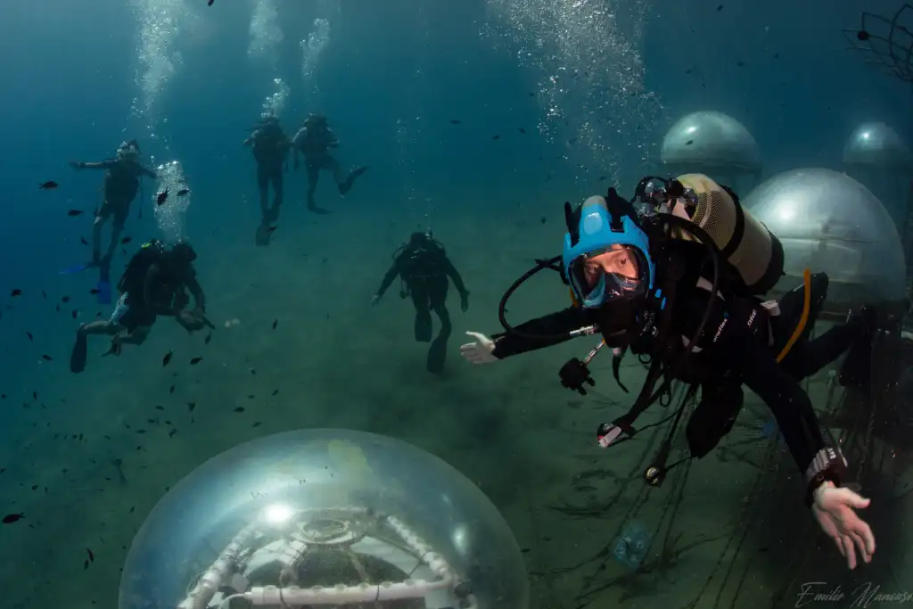 Group of divers at Nemo's Garden