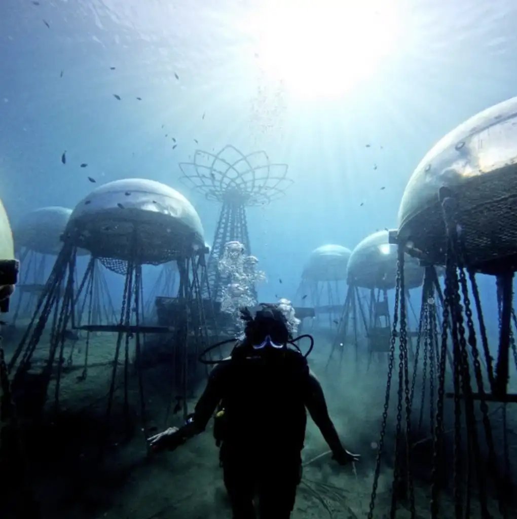 Diver at Nemo's Garden